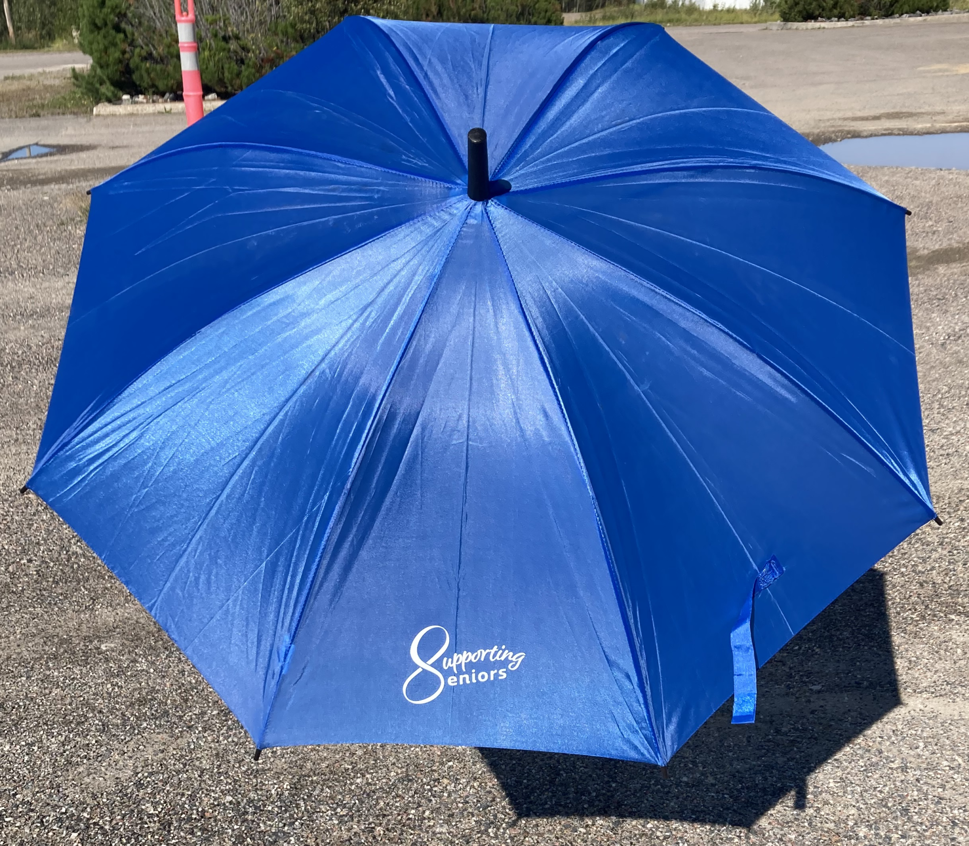 Umbrella cropped